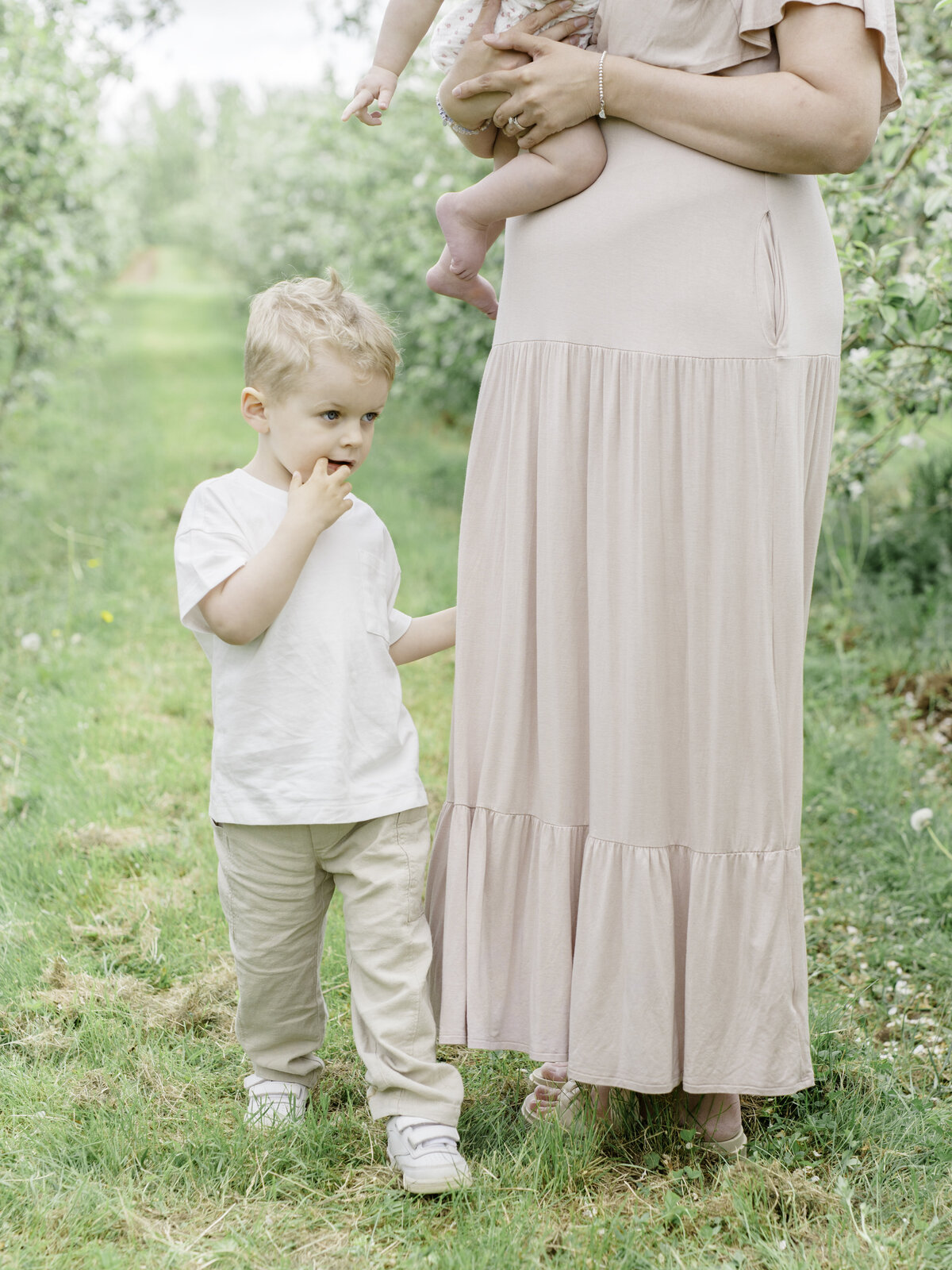 appleblossoms45