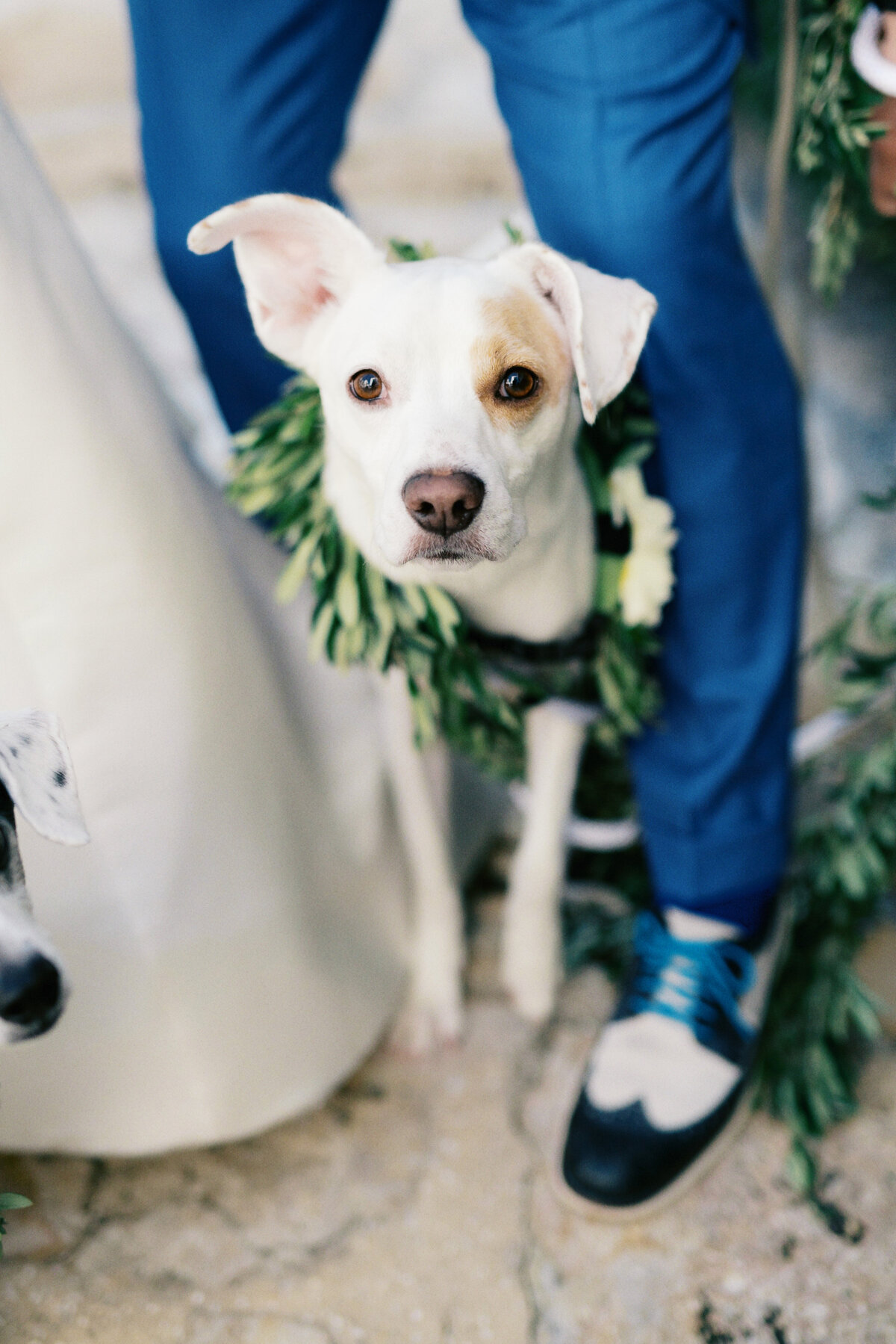 Alys Beach 30A Wedding Photographer-31