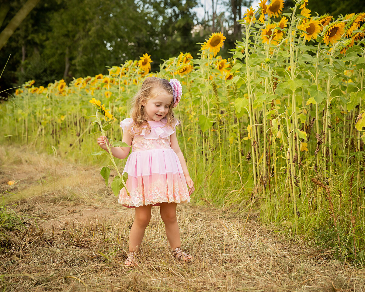 sunflower-mini-photo-nj-bast_brothers