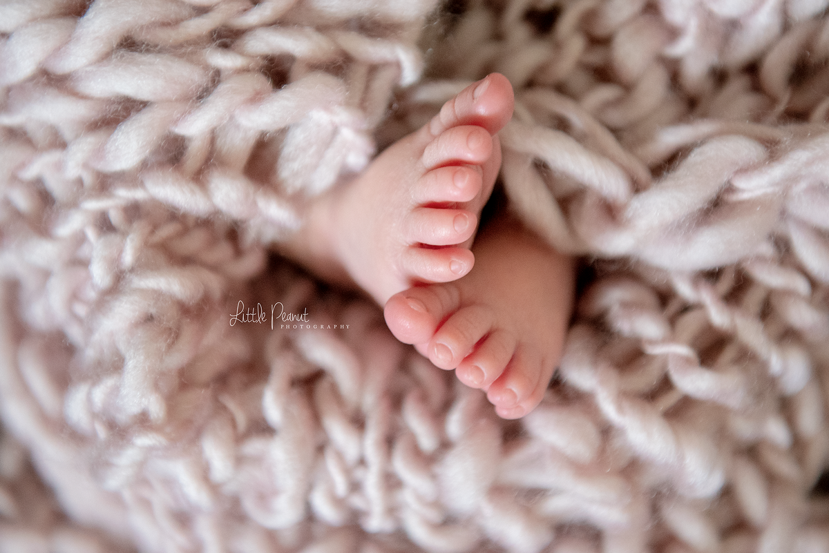 w2017-LittlePeanutPhotography-Newborn-7048
