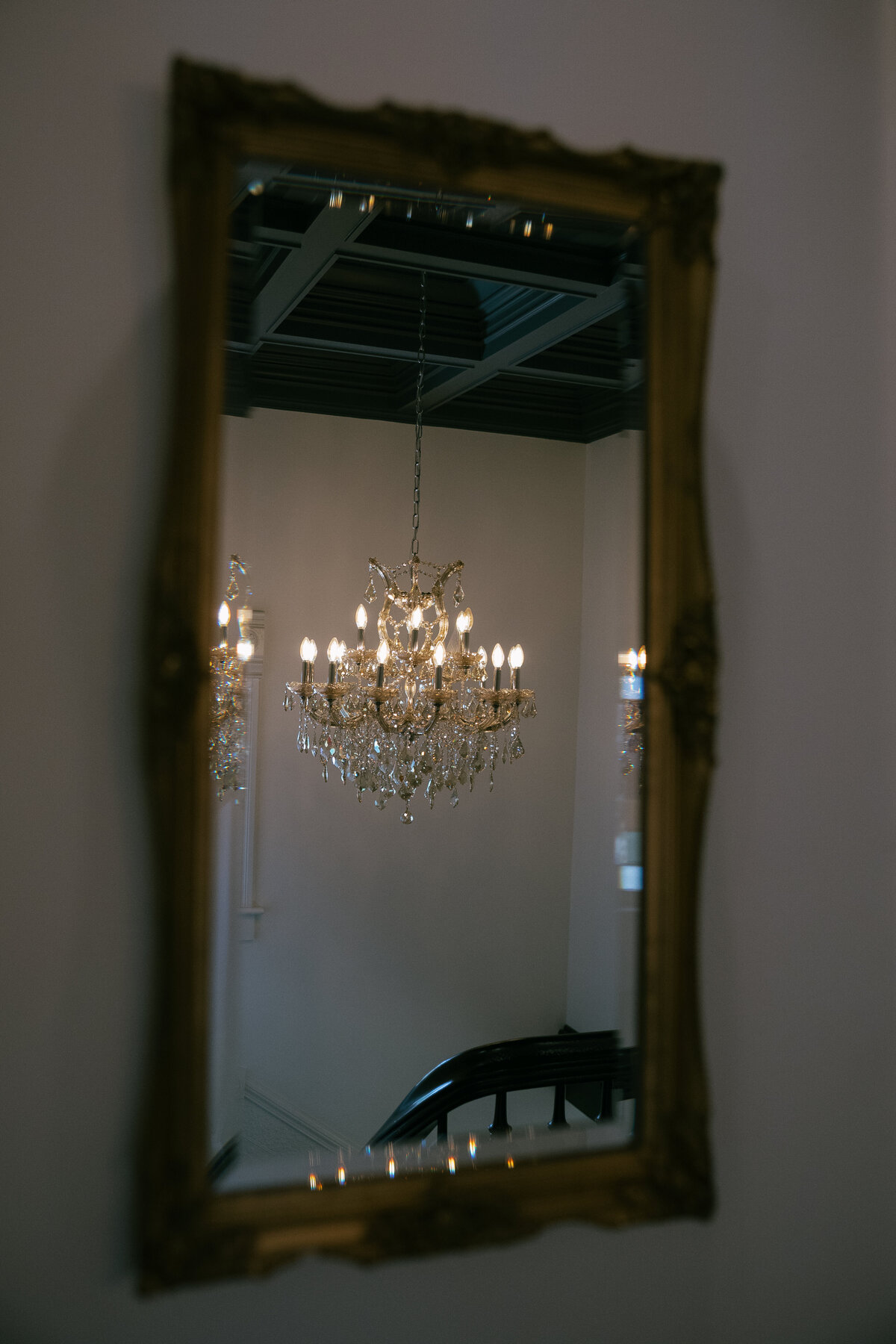 rosefreedmanphotography-39