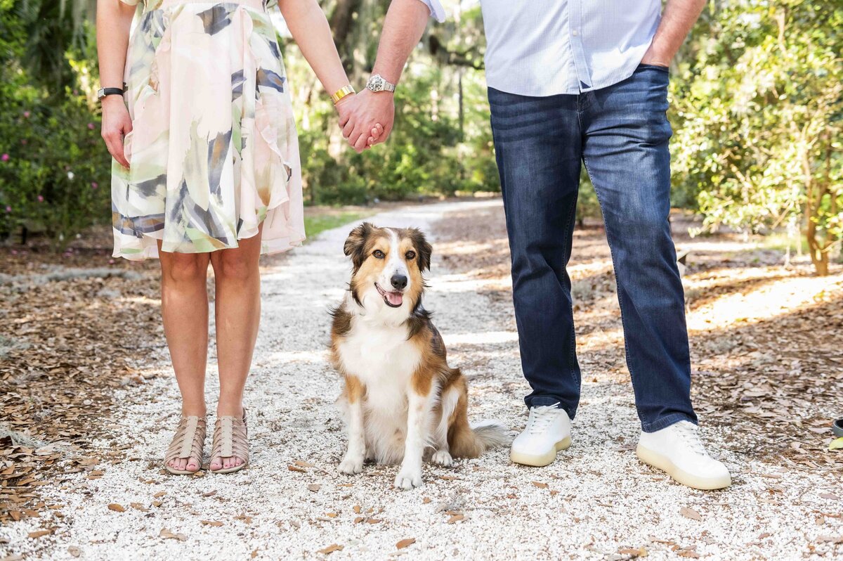 Kate Morrison Photography - Hilton Head Photographer- Family Photographer - hhi sc - bluffton sc - lowcountry photographer- family beach photographer- family park photographer