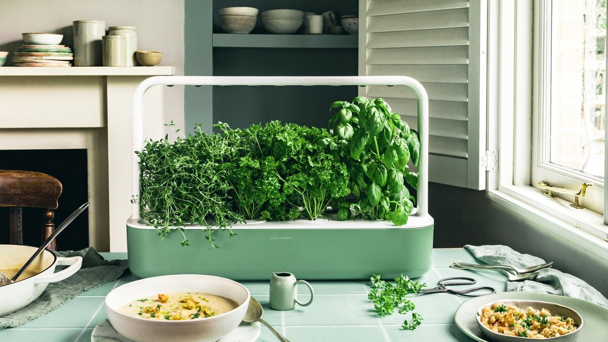 Click & Grow-3061