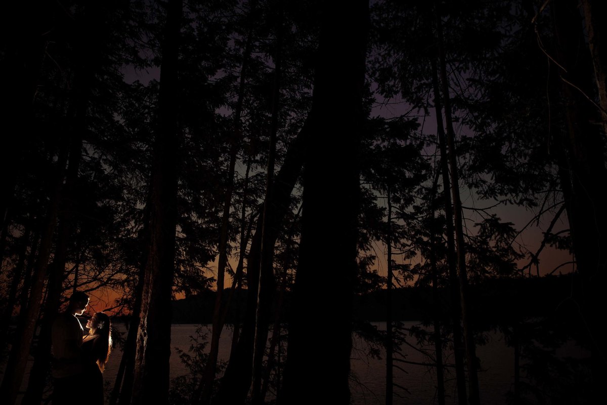 Silhouette of couple in tress during Nanaimo engagement session