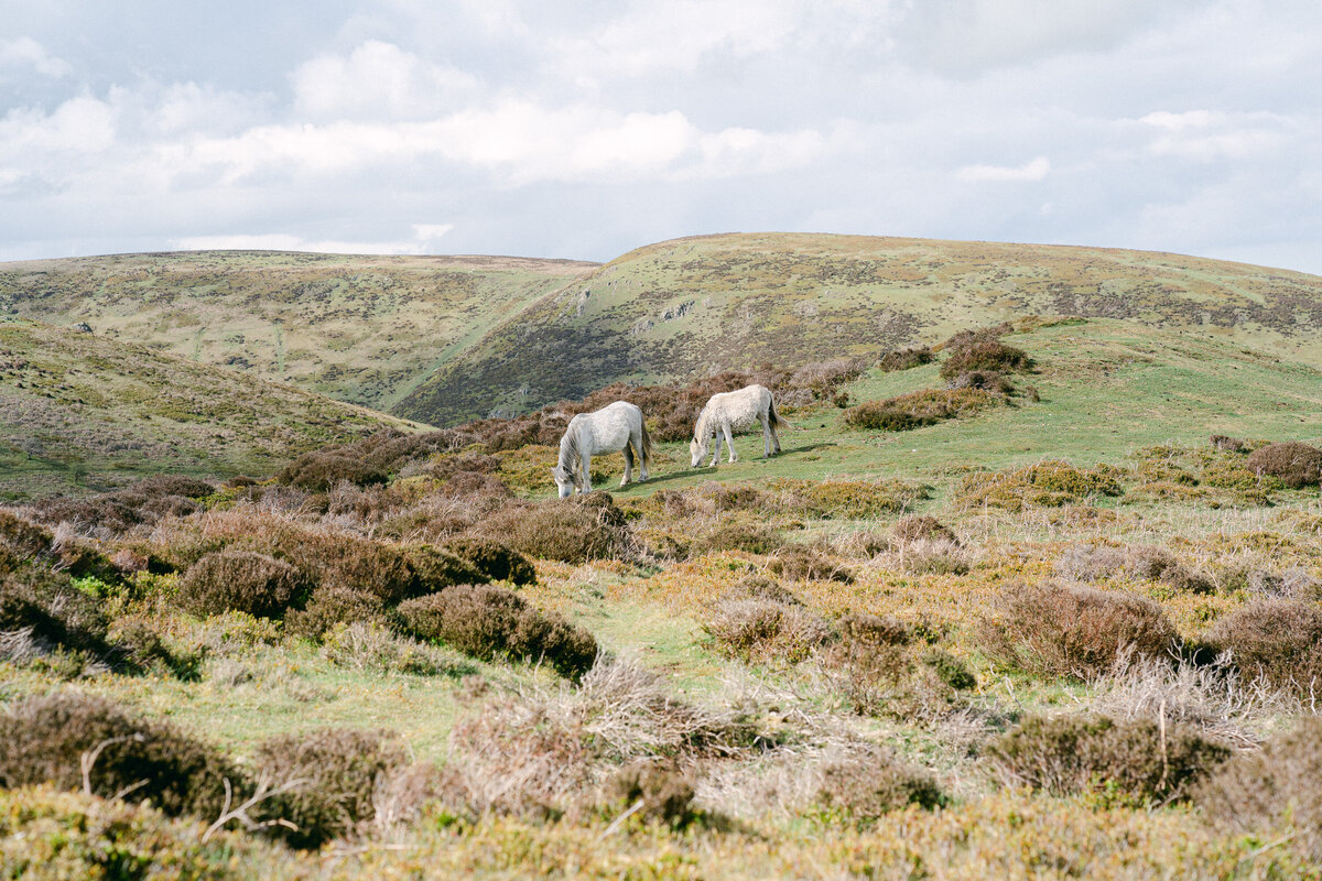 Luxury Elopement Photographer in the English Countryside -237