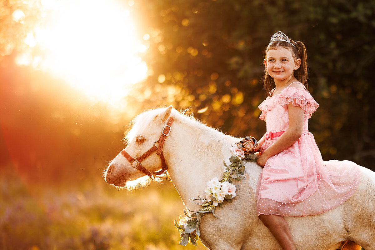 horseandrider_portraits_equine_sessions_photographer (10)