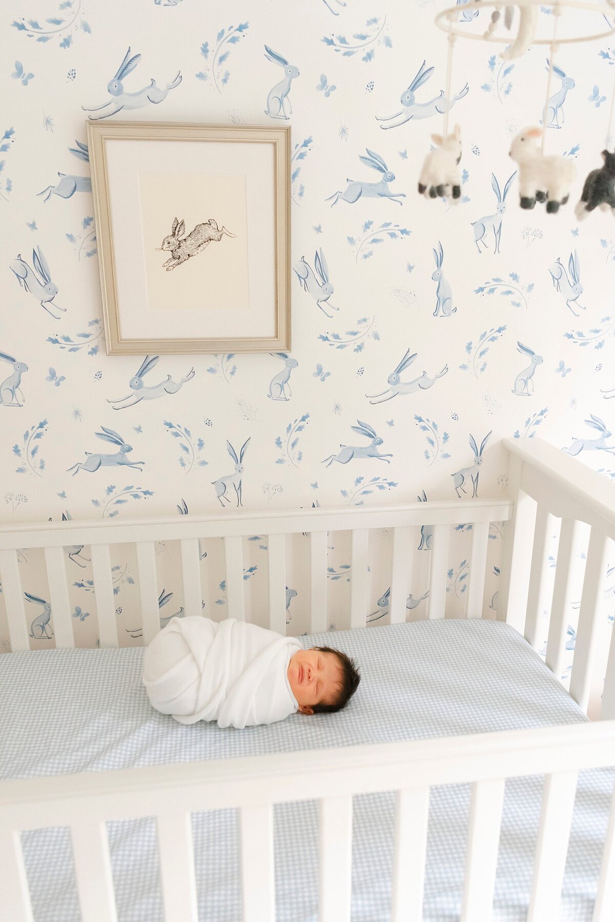 boston_newborn_photography_9237