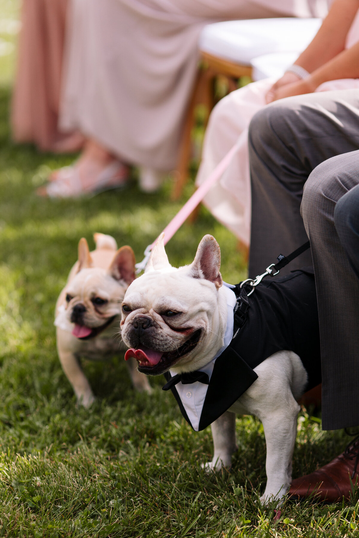 eleanor_ryan_wedding_new-38