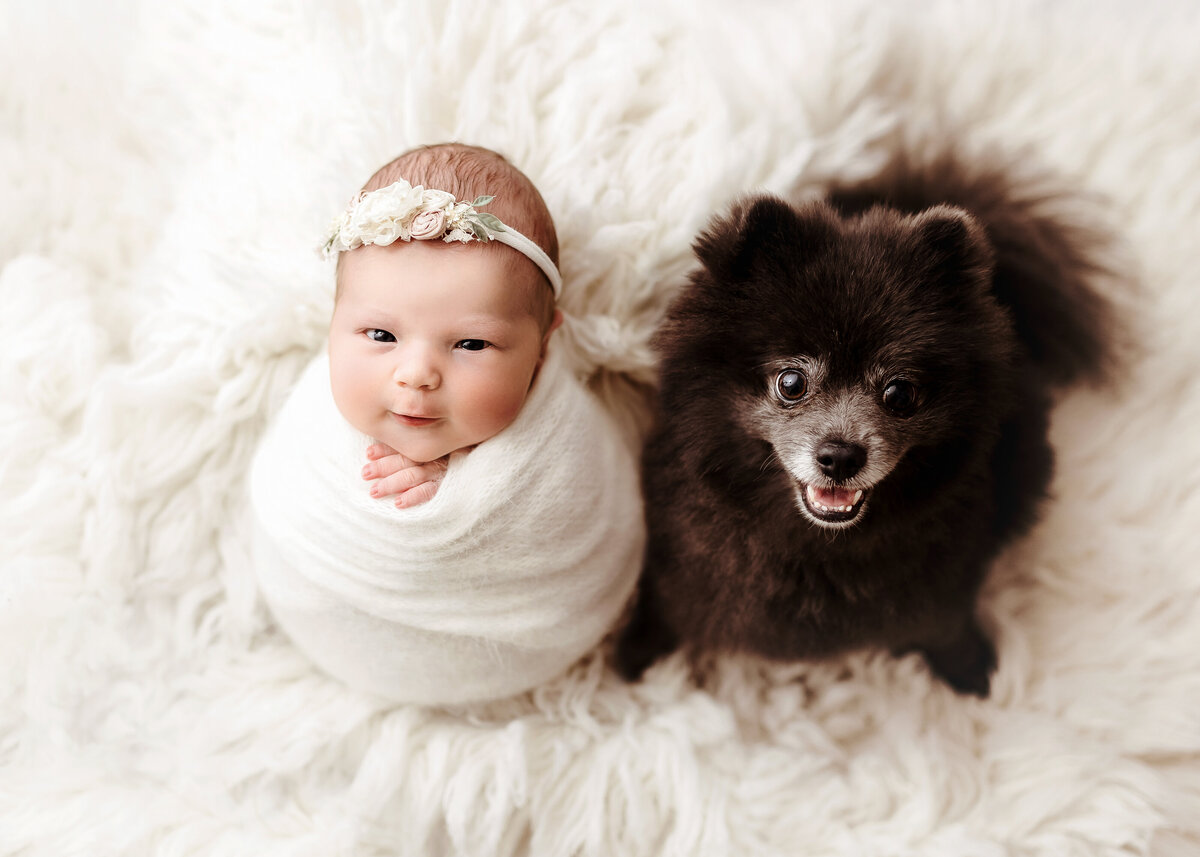 new-jersey-newborn-photographer