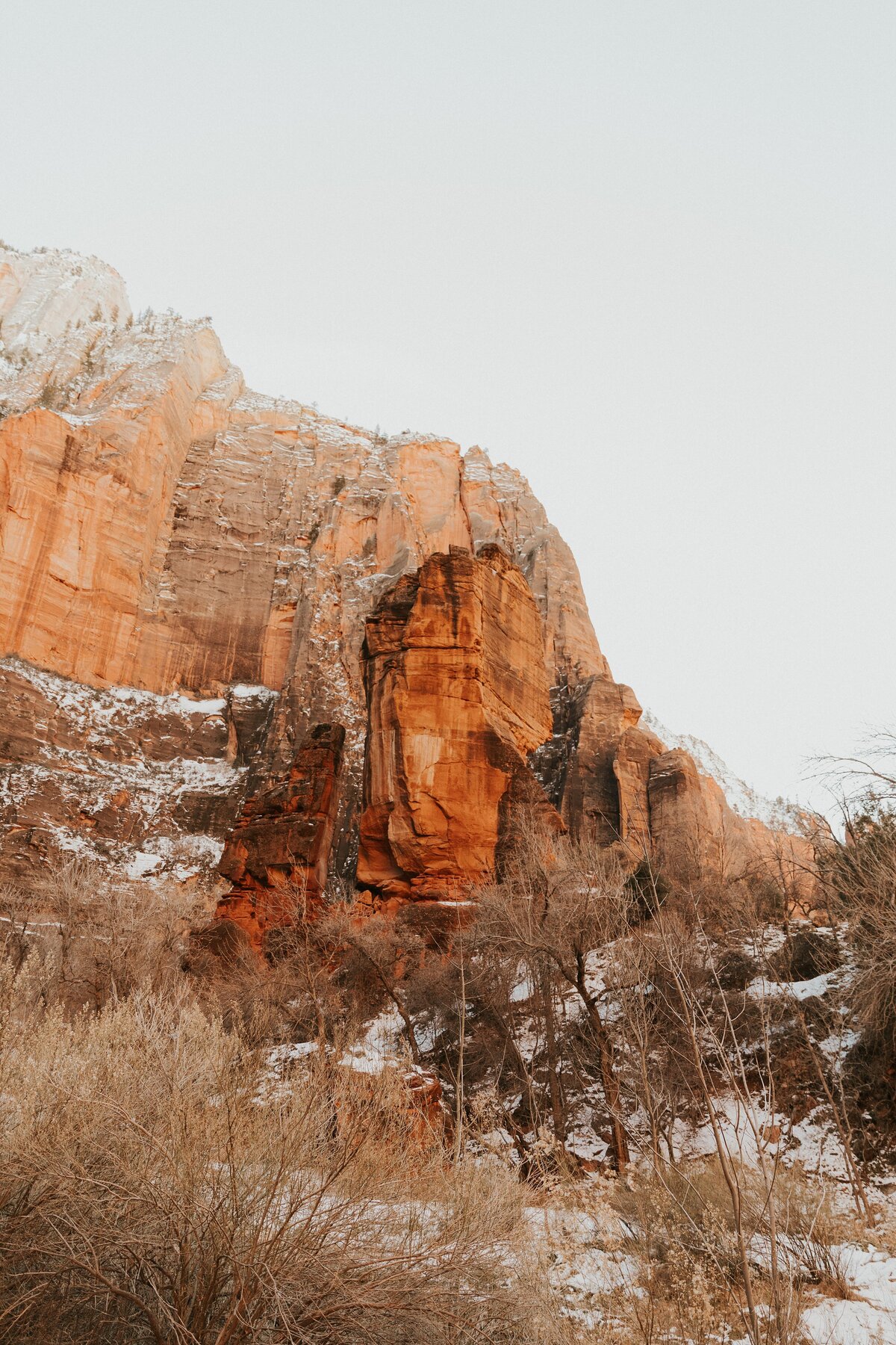 Zion-National-Park-19