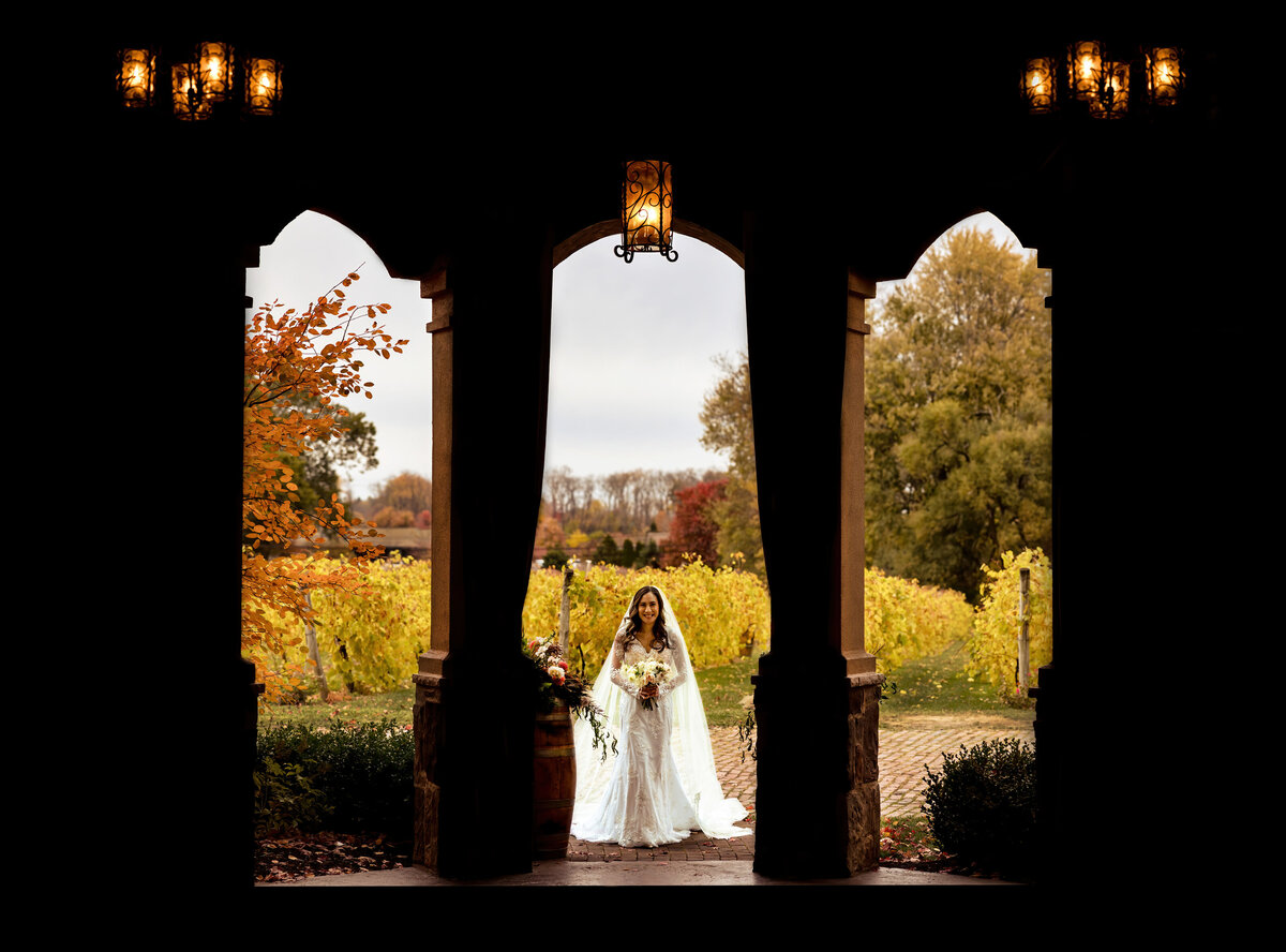 A bride enters the ceremony at her Gervasi Winery wedding.