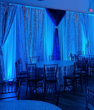 Backdrop Drapery  (4)