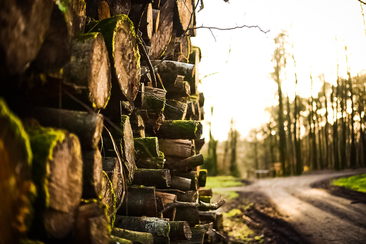 8 - Wood Pile Ready for Winter 1-2 - SK