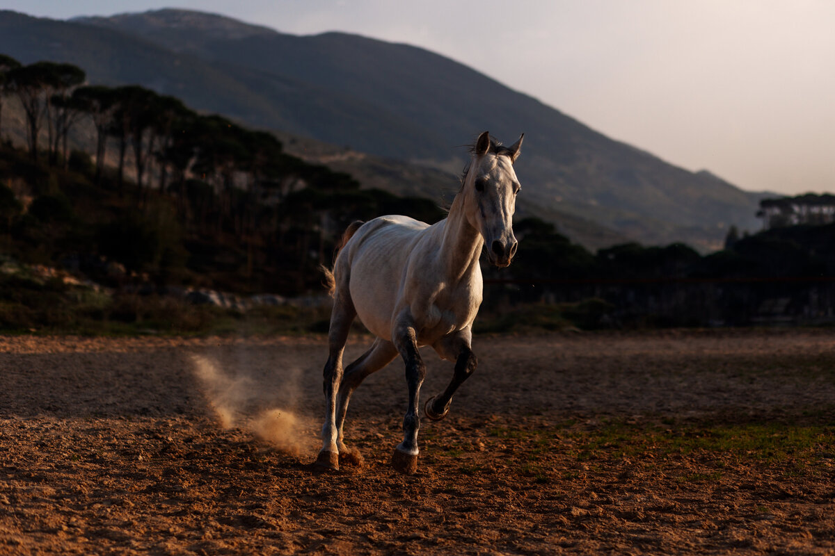 As the Sun Sets (40x60cm)