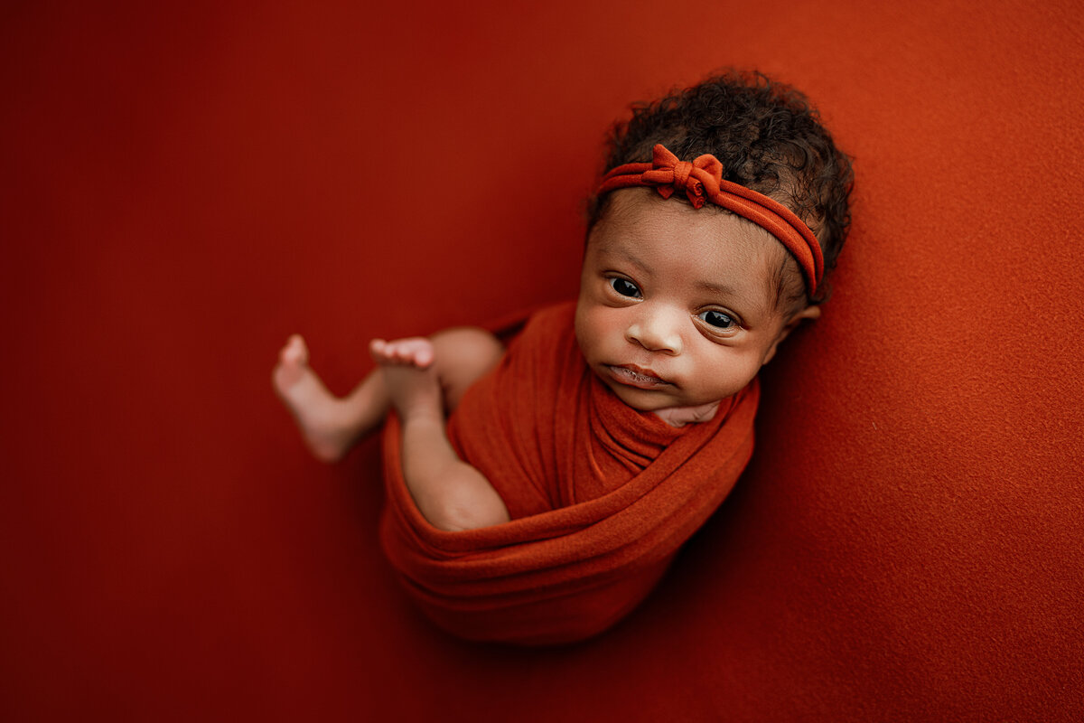 newborn photography huntsville al