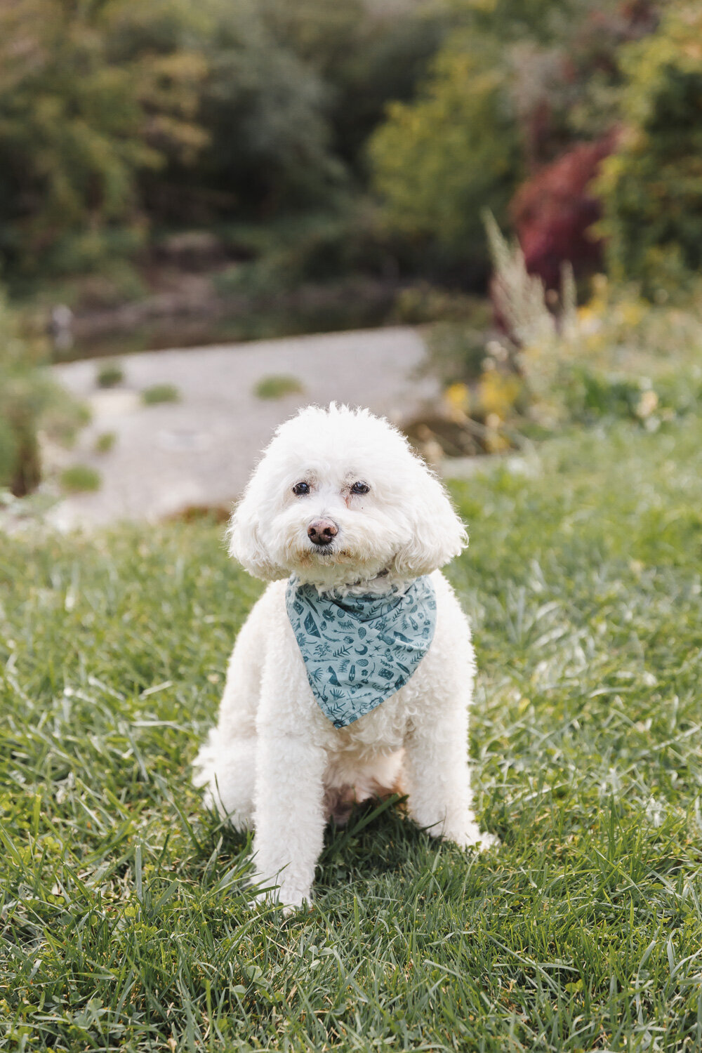 Toronto-family-Photography-Leaside-40