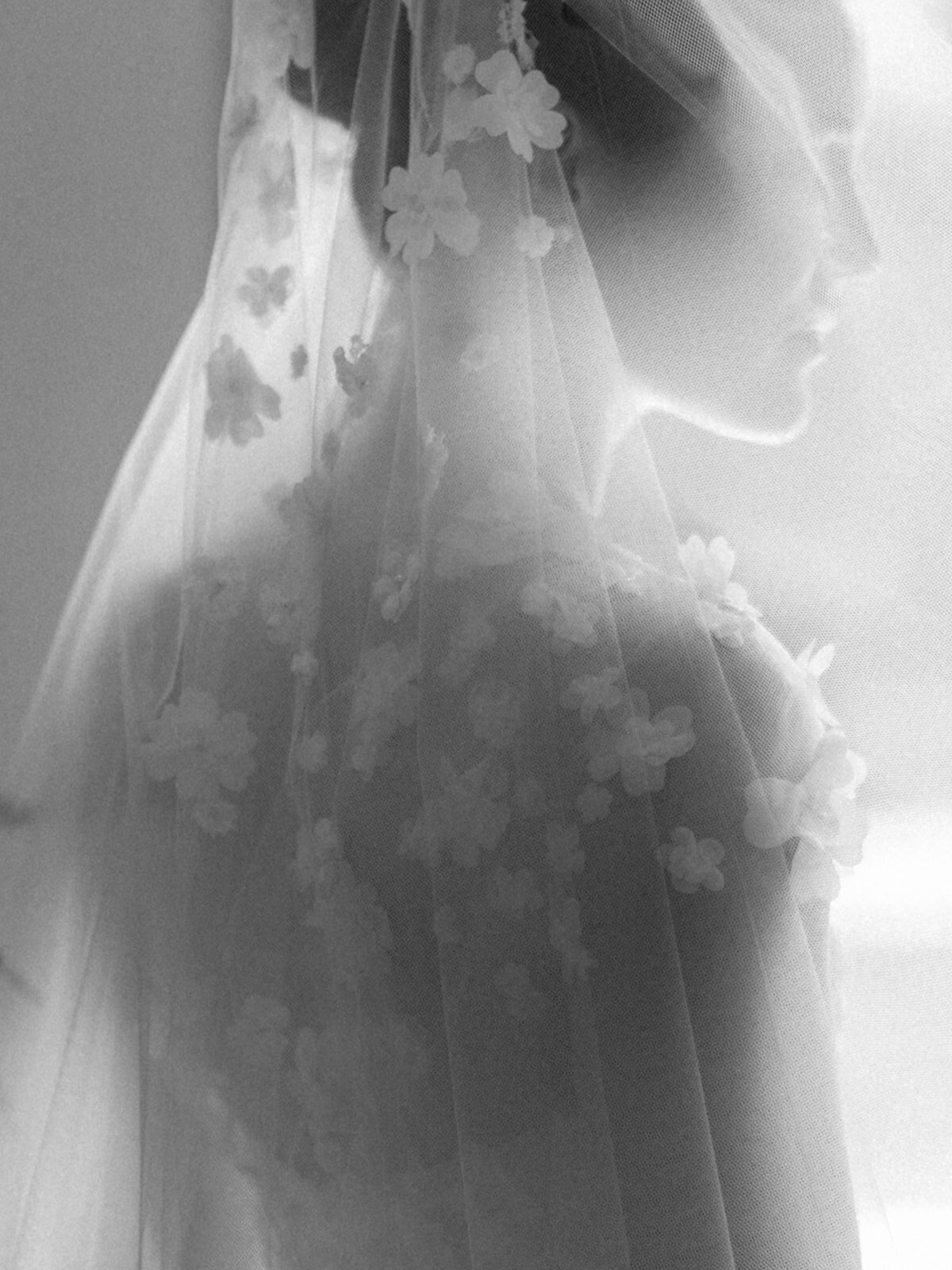 glimpse0004-Copy1_websize
