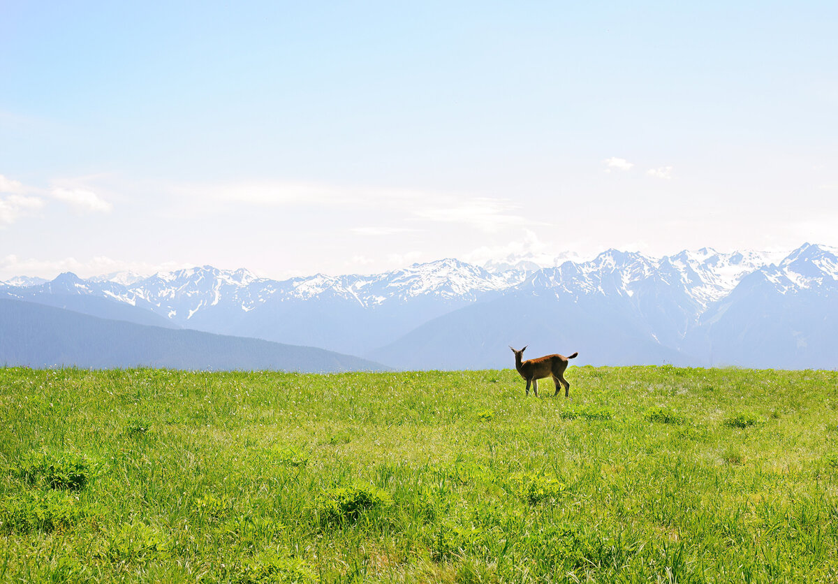 LANDSCAPE_2024_EnjoyingTheView_Shelby Finkelstein