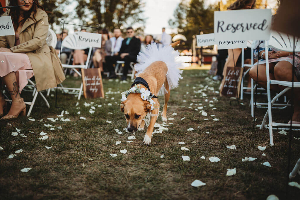 harrisonburg-wedding-photographer-174