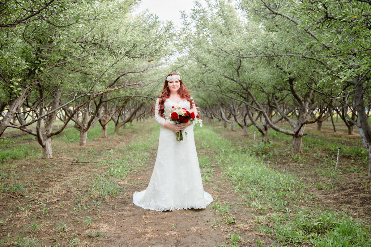 redheaded bride holding a red and white rose bouquet surrounded by apple trees