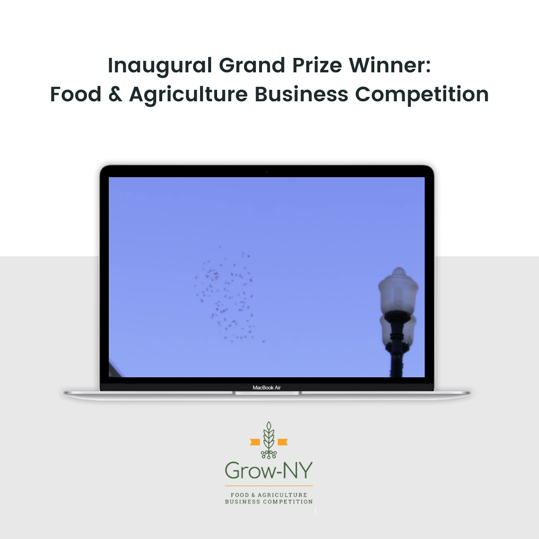 Copy of Grand Prize Winner Food & Agriculture Business Competition