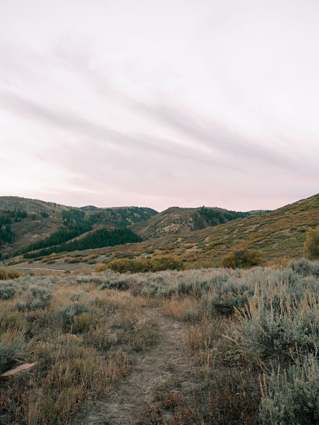 MacRyan-Lodge at Blue Sky Utah Wedding by GoBella1