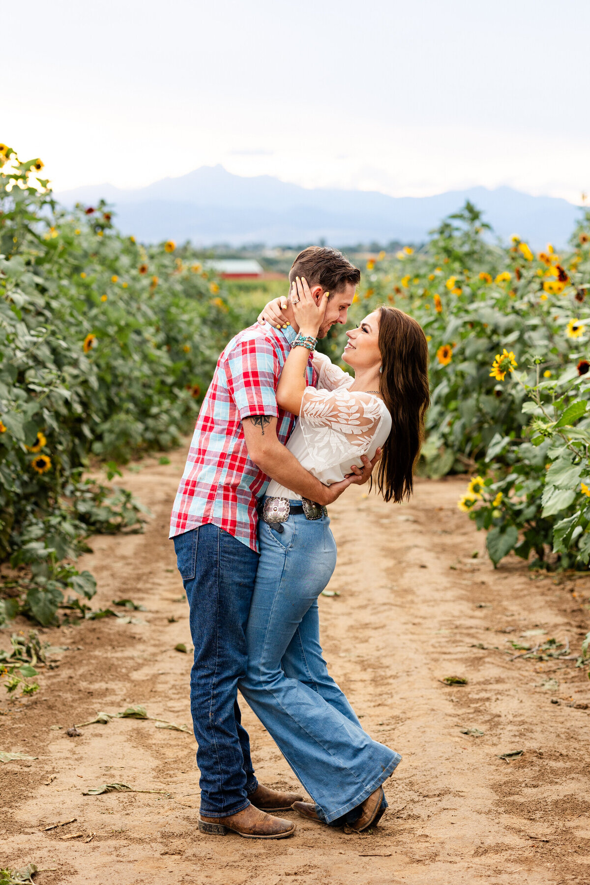 Colorado-sunflower-field-photography-38