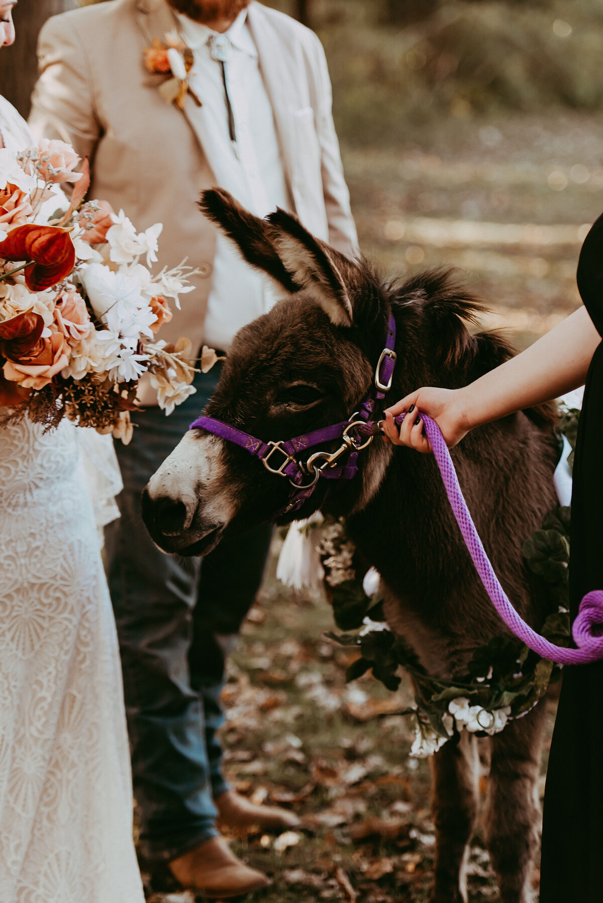 Toledo Outdoor Tent Wedding