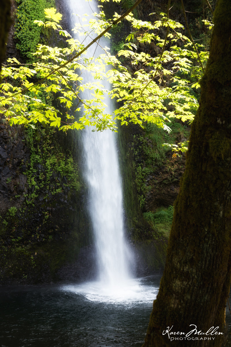 08_ColumbiaGorge_IMG_9516g