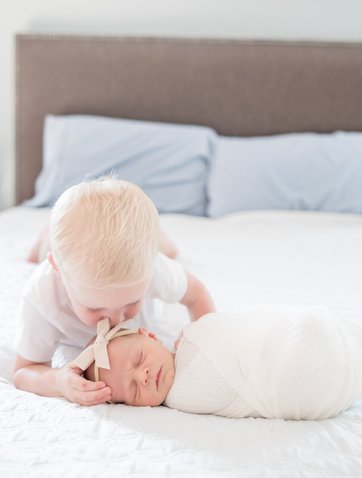 Apex Newborn Photographer