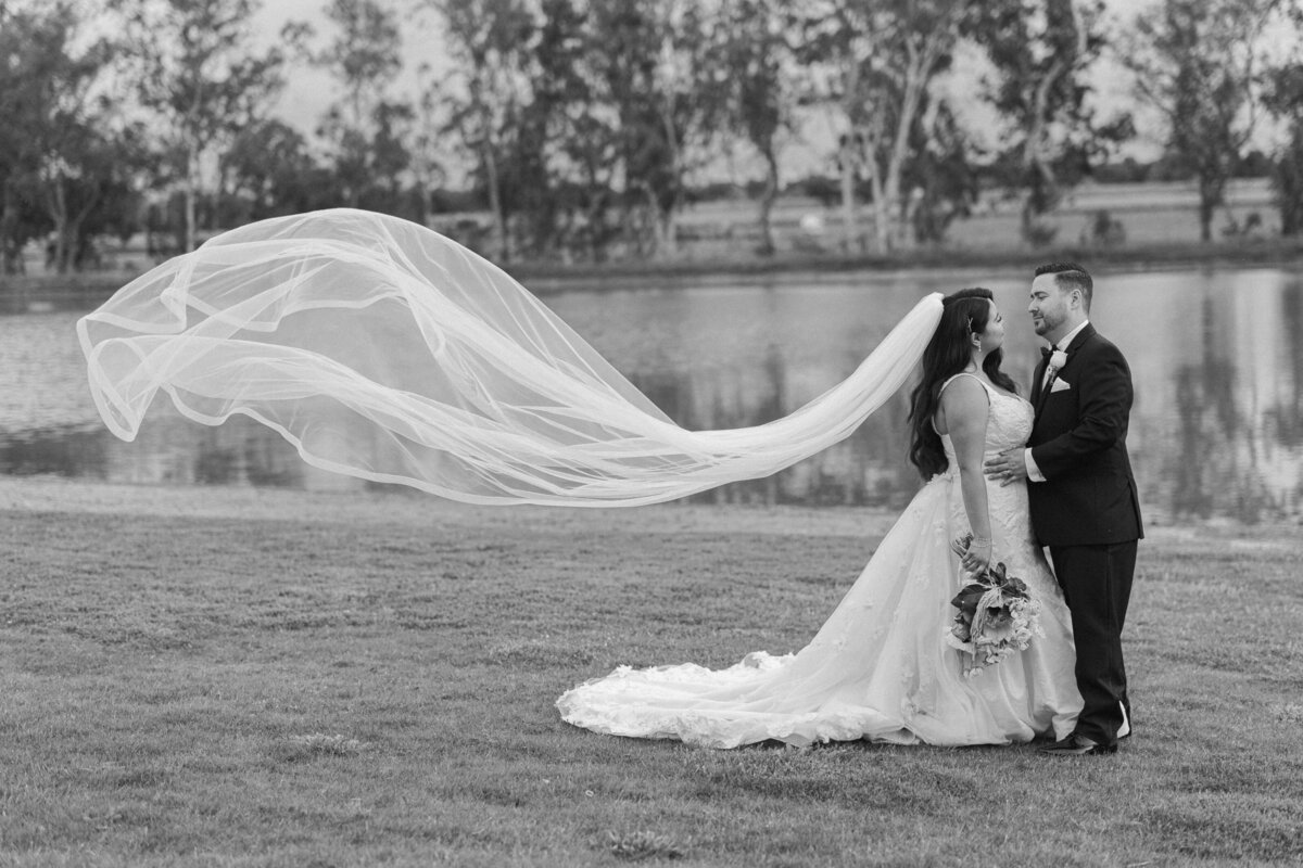 LAKEVIEW ESTATES & WINERY -SACRAMENTO, CA-95
