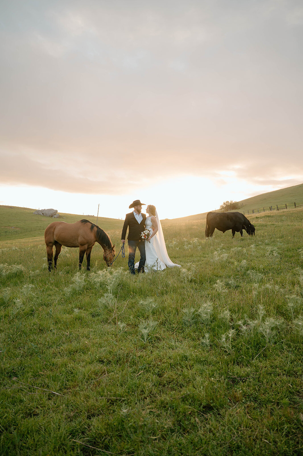 ranch-wedding-bride-groom-horses