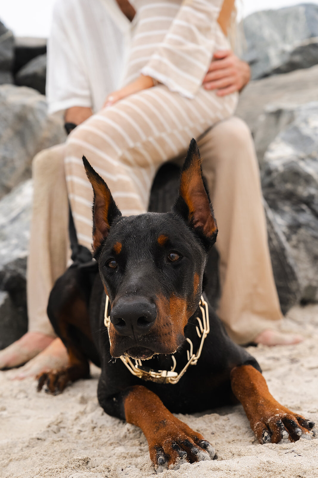 Kammerman-Photography-Family-Portrait-41