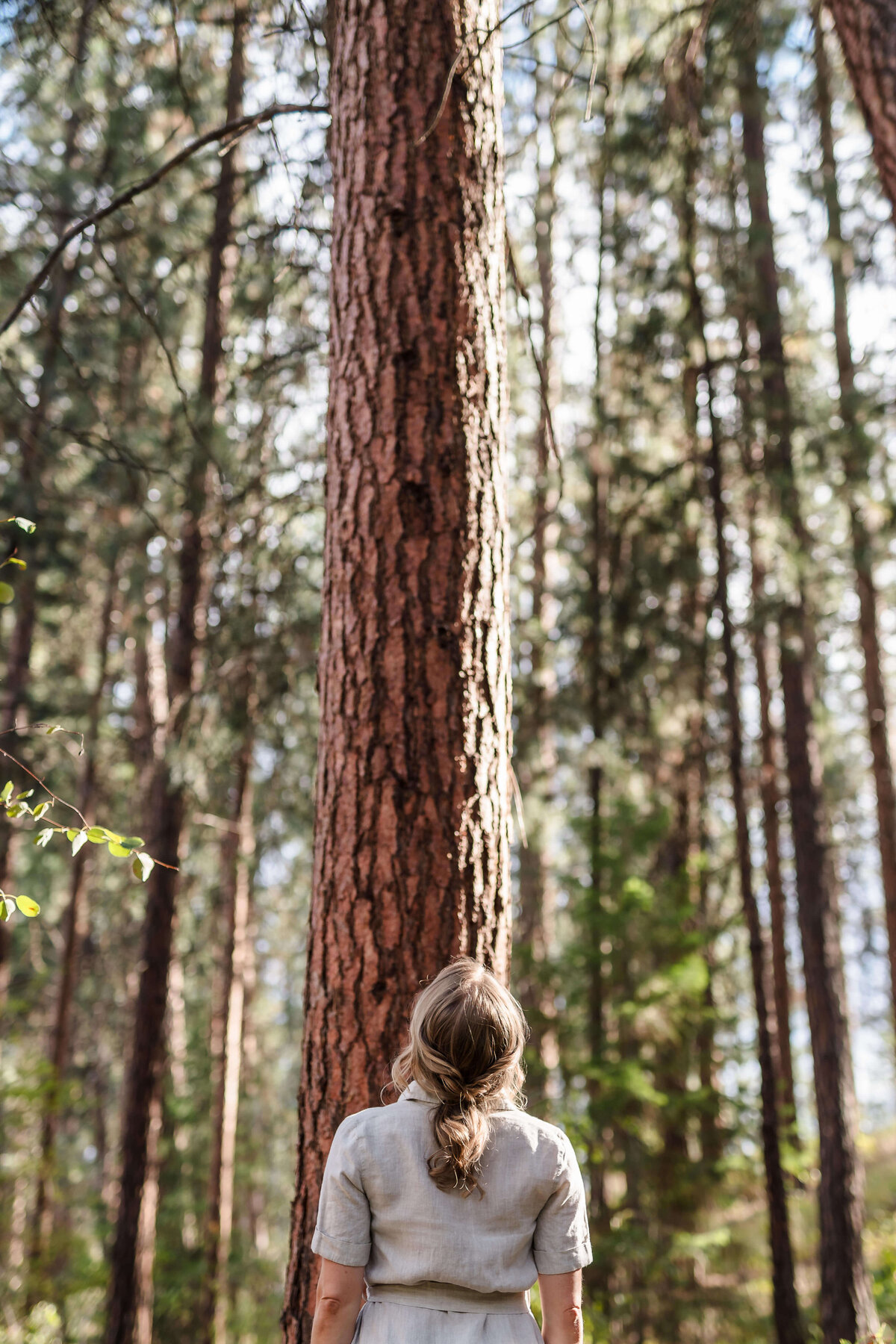 woman contemplating tall tree in the forest for creative brand nature shoot