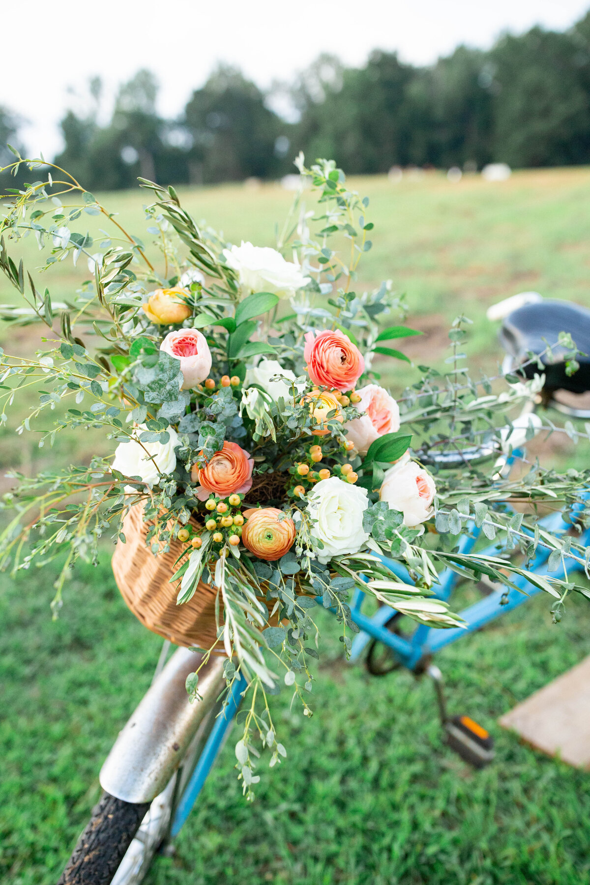 Fitzography_ProspectFarmsSS-276