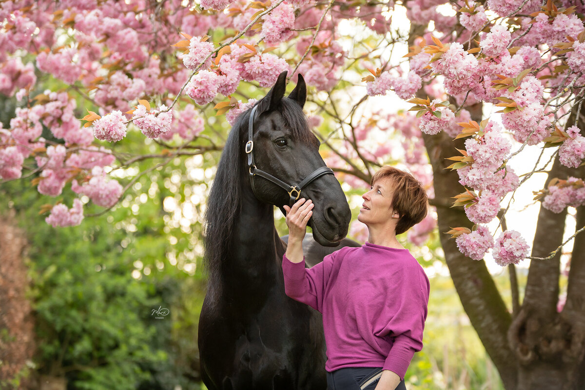 paardenfotograaf bloesem friesland