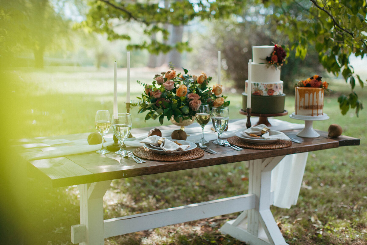 Charis_Lauren_Elegant_Nashville_Wedding_photographer_0103