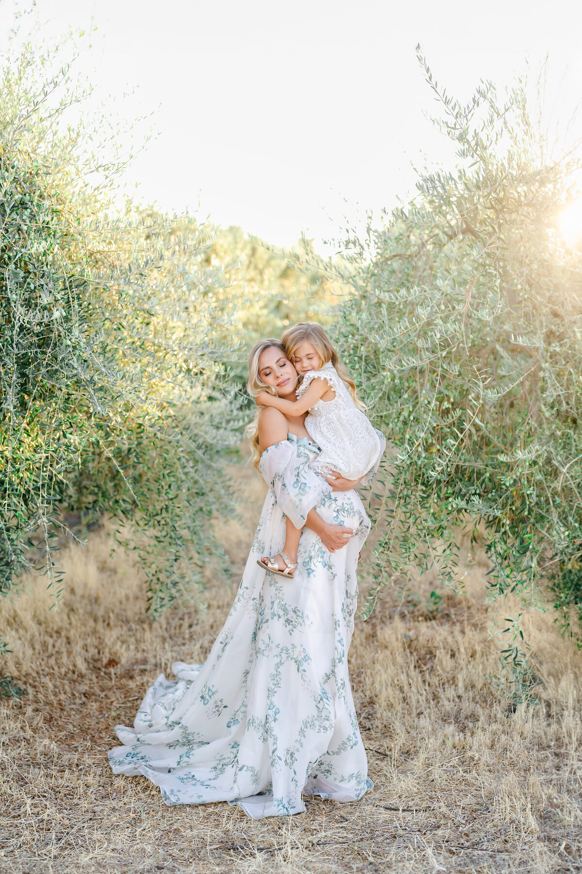olive orchard maternity session 