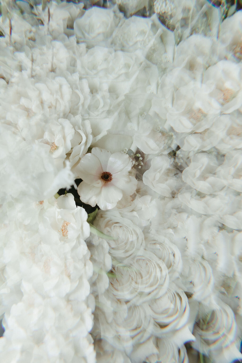 wedding-gallery-sara-miller-photography (2)