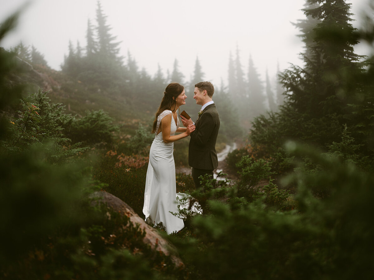 Mount Baker Elopement