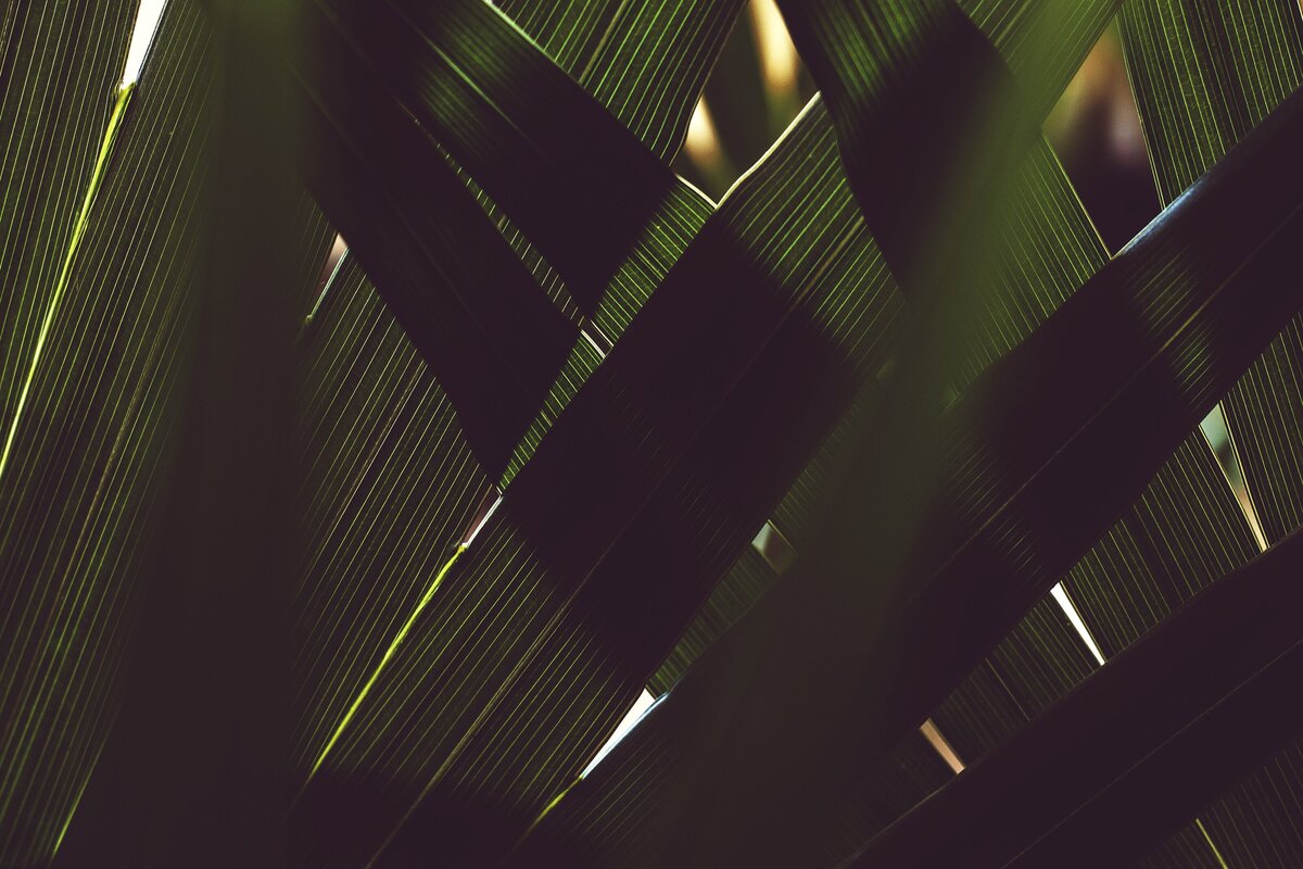 tim-mossholder-05tJX8fp3GM-unsplash