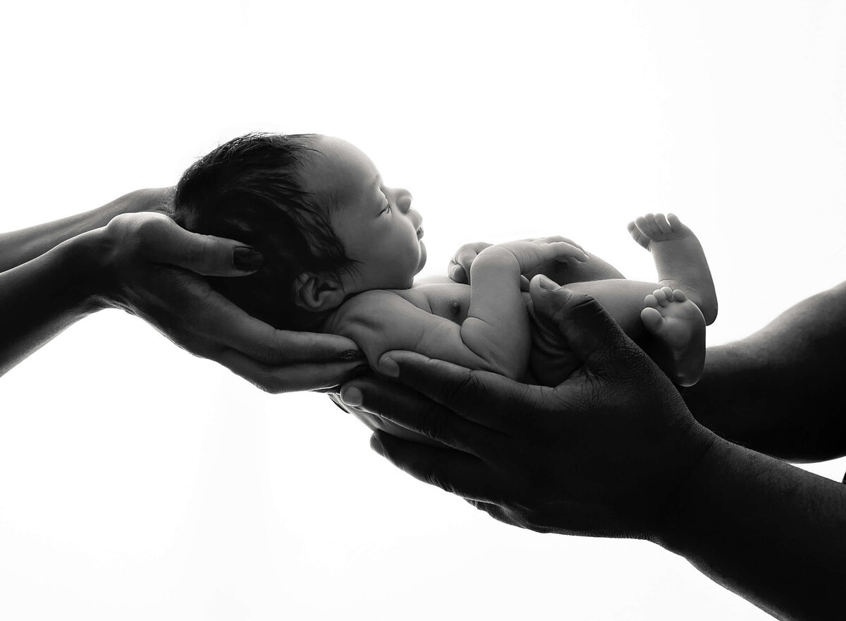 Timeless and modern newborn photos baby held by both parents in B&W