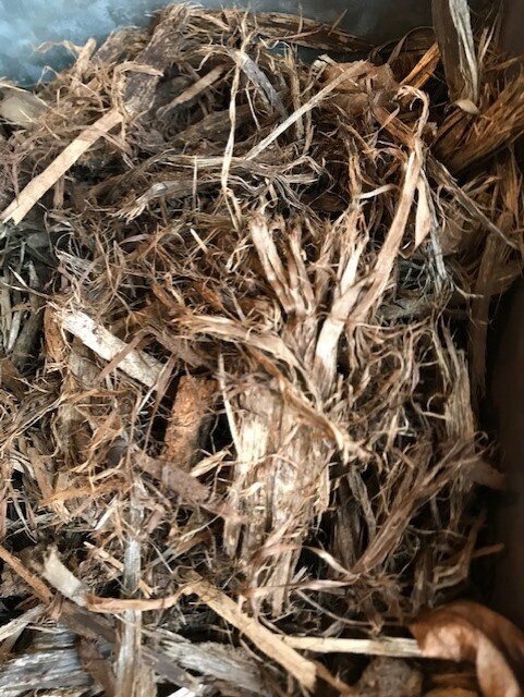 Shredded Hardwood