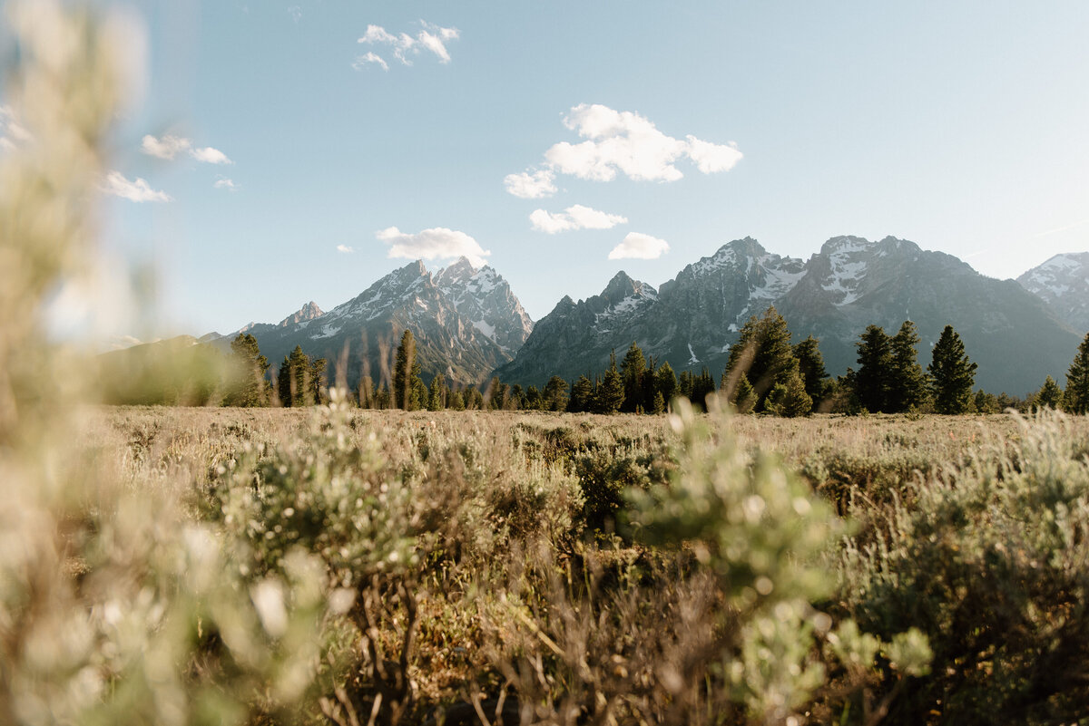 grand_teton_national_park_wyoming_1