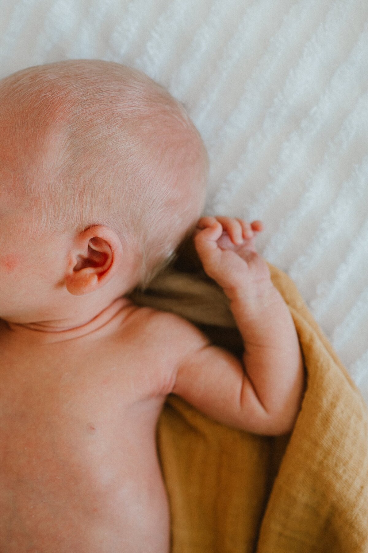 charlottesville-newborn-photographer