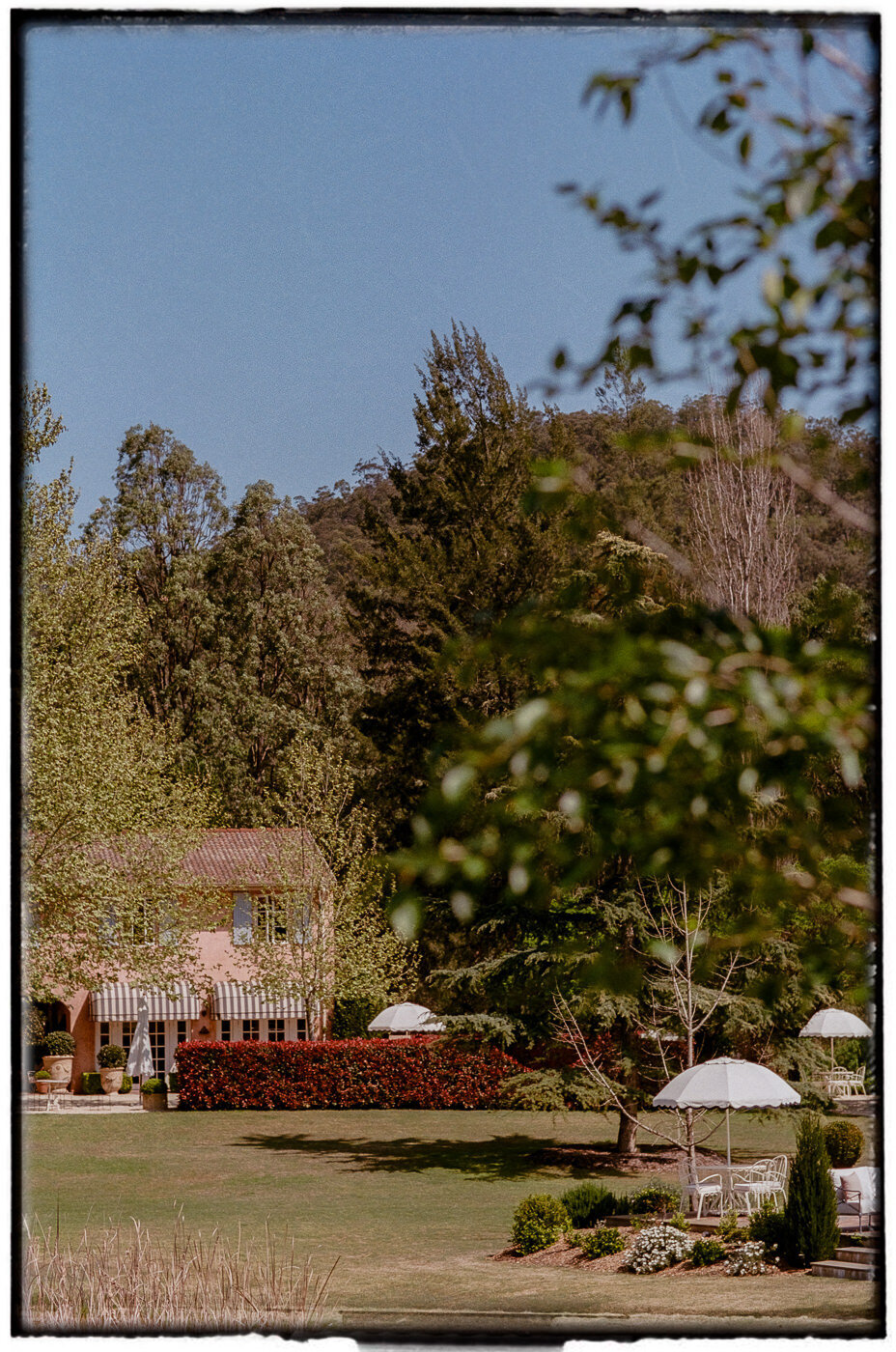 Redleaf Wollombi film wedding photography-38