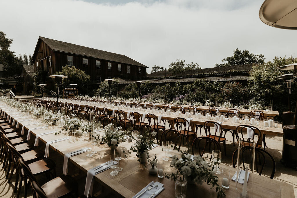 Modern-Rustic-Monterey-Wedding-SF-juju-462