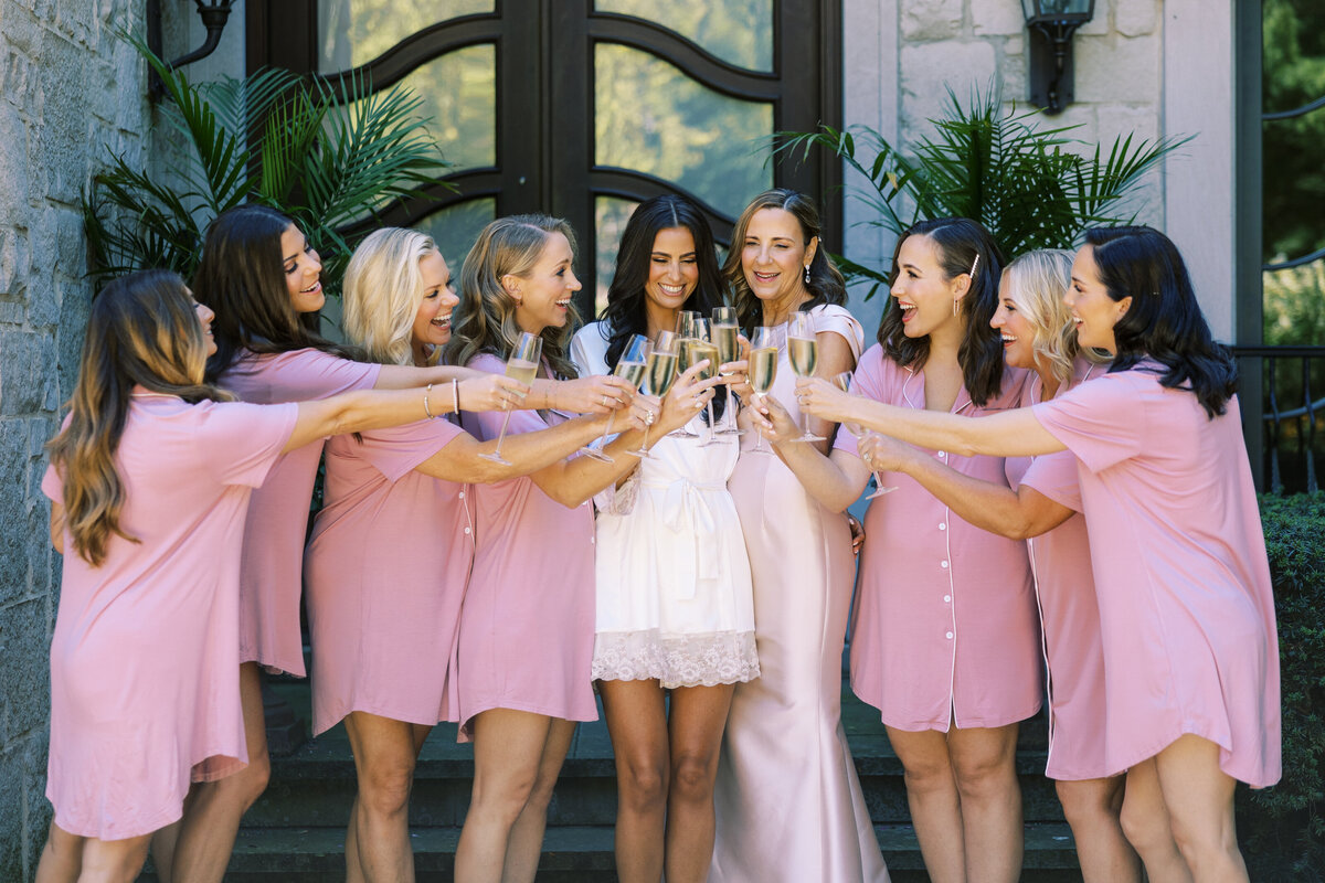 Wedding Party Toasting