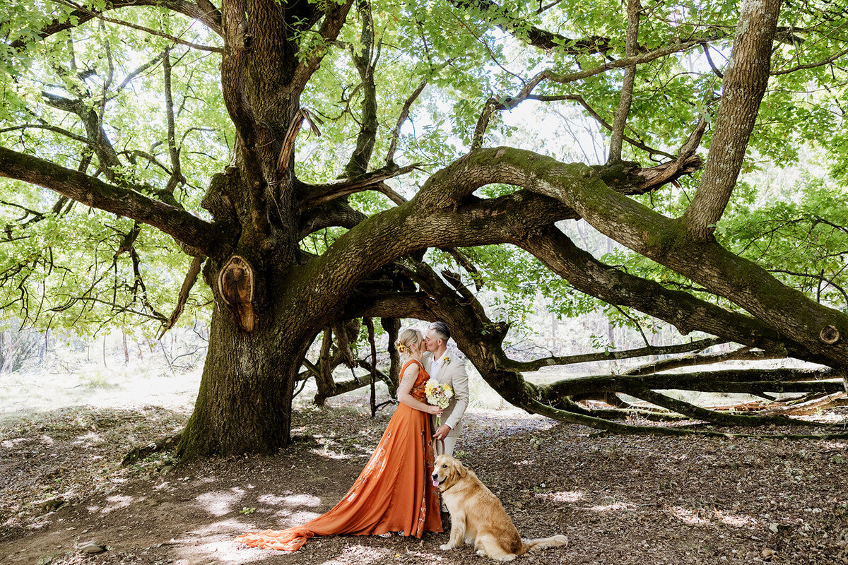Jess and Ben - Sneak Peek - JessicaCarrollPhotographer-12_websize