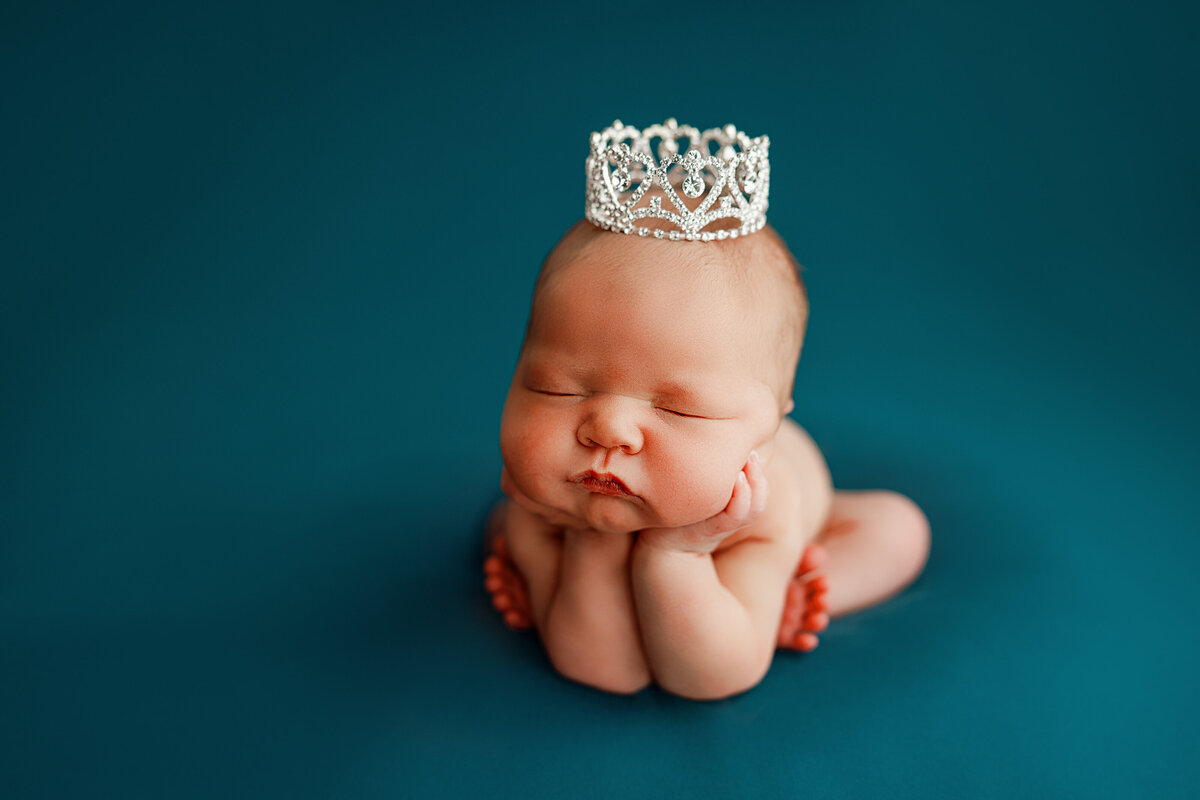 baby photography huntsville